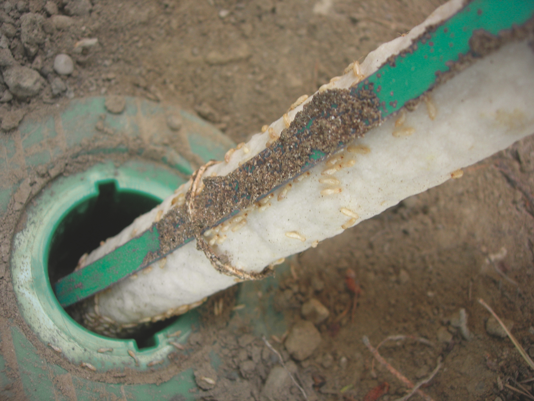 Station extérieure Sentri-Tech