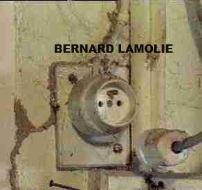 Étiquette de bouteille dégradée par termites